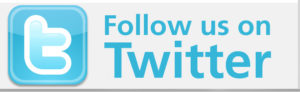 follow us on twitter button