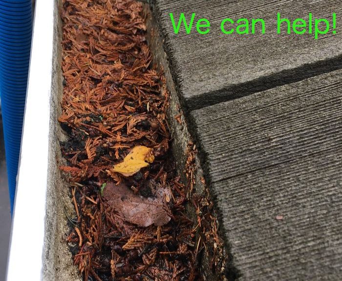 Dirty Gutters Langley Gutter Cleaning